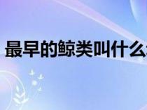 最早的鯨類叫什么動物（最早的鯨類叫什么）