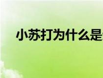 小蘇打?yàn)槭裁词菬o(wú)機(jī)物(什么是無(wú)機(jī)物) 小蘇打?yàn)槭裁词菬o(wú)機(jī)物(什么是無(wú)機(jī)物)
