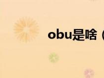obu是啥（obu是什么設(shè)備）
