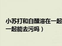 小蘇打和白醋溶在一起能去污嗎有毒嗎（小蘇打和白醋溶在一起能去污嗎）