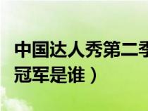 中國達人秀第二季總冠軍（中國達人秀第二季冠軍是誰）
