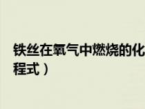 鐵絲在氧氣中燃燒的化學方程式(鐵在氧氣中燃燒的化學方程式) 鐵絲在氧氣中燃燒的化學方程式(鐵在氧氣中燃燒的化學方程式)