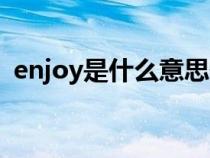 enjoy是什么意思翻譯（enjoy是什么意思）