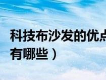 科技布沙發(fā)的優(yōu)點(diǎn)和缺點(diǎn)(科技布沙發(fā)優(yōu)缺點(diǎn)有哪些) 科技布沙發(fā)的優(yōu)點(diǎn)和缺點(diǎn)(科技布沙發(fā)優(yōu)缺點(diǎn)有哪些)
