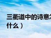 三衢道中的詩意怎么寫?（三衢道中的詩意是什么）