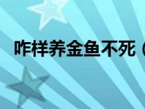 咋樣養(yǎng)金魚(yú)不死(家里怎么養(yǎng)金魚(yú)不會(huì)死) 咋樣養(yǎng)金魚(yú)不死(家里怎么養(yǎng)金魚(yú)不會(huì)死)