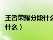 王者榮耀分段什么意思（王者榮耀王者分段是什么）
