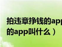拍違章掙錢的app叫什么石家莊（拍違章掙錢的app叫什么）