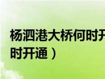 楊泗港大橋何時開通最新消息（楊泗港大橋何時開通）