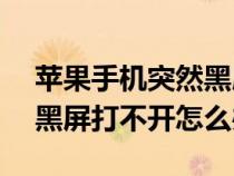 蘋果手機(jī)突然黑屏打不開怎么辦（vivo手機(jī)黑屏打不開怎么辦）