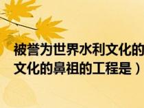 被譽為世界水利文化的鼻祖是水利工程師（被譽為世界水利文化的鼻祖的工程是）