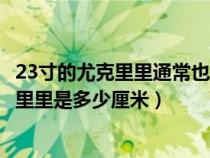 23寸的尤克里里通常也被稱作什么型的尤克里里(23寸尤克里里是多少厘米) 23寸的尤克里里通常也被稱作什么型的尤克里里(23寸尤克里里是多少厘米)