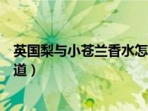 英國(guó)梨與小蒼蘭香水怎么樣（英國(guó)梨與小蒼蘭香水是什么味道）