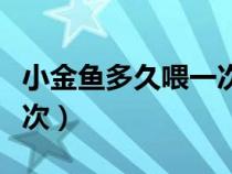 小金魚多久喂一次喂多少顆（小金魚多久喂一次）