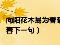 向陽花木易為春暗示什么感情（向陽花木易為春下一句）