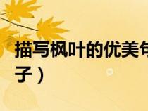 描寫(xiě)楓葉的優(yōu)美句子短句(描寫(xiě)楓葉的優(yōu)美句子) 描寫(xiě)楓葉的優(yōu)美句子短句(描寫(xiě)楓葉的優(yōu)美句子)