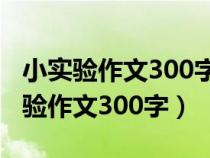 小實(shí)驗(yàn)作文300字優(yōu)秀作文三年級下冊(小實(shí)驗(yàn)作文300字) 小實(shí)驗(yàn)作文300字優(yōu)秀作文三年級下冊(小實(shí)驗(yàn)作文300字)
