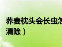蕎麥枕頭會(huì)長(zhǎng)蟲怎么清除（蕎麥枕頭生蟲怎么清除）