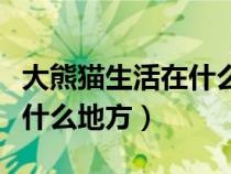 大熊貓生活在什么地方一段話（大熊貓生活在什么地方）