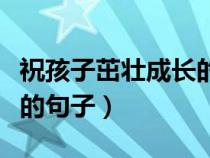 祝孩子茁壯成長的句子簡短（祝孩子茁壯成長的句子）