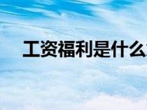 工資福利是什么意思（福利是什么意思）