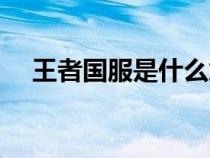 王者國服是什么意思（國服是什么意思）