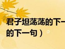 君子坦蕩蕩的下一句是什么意思（君子坦蕩蕩的下一句）
