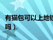 有貓包可以上地鐵嗎杭州(有貓包可以上地鐵嗎) 有貓包可以上地鐵嗎杭州(有貓包可以上地鐵嗎)