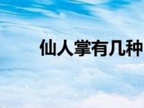 仙人掌有幾種（仙人掌有哪些品種）