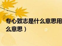 專心致志是什么意思用具體的情景表現(xiàn)出來（專心致志是什么意思）