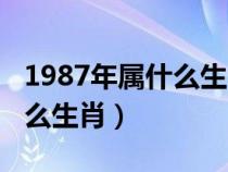 1987年屬什么生肖的最佳配偶（1987年屬什么生肖）