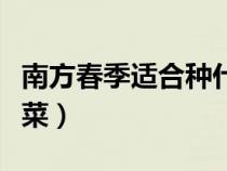 南方春季適合種什么蔬菜（春季適合種什么蔬菜）