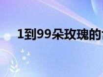 1到99朵玫瑰的含義(玫瑰數(shù)量的含義) 1到99朵玫瑰的含義(玫瑰數(shù)量的含義)