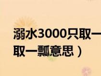溺水3000只取一瓢飲的下一句（溺水三千只取一瓢意思）