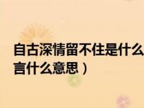 自古深情留不住是什么意思（自古深情留不住漸行漸遠(yuǎn)漸無(wú)言什么意思）