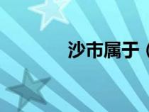 沙市屬于（沙市是幾線城市）