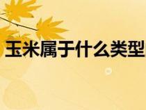 玉米屬于什么類型的蔬菜（玉米屬于什么類）