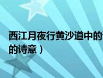 西江月夜行黃沙道中的詩意簡短20字（西江月夜行黃沙道中的詩意）