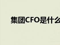 集團(tuán)CFO是什么職位（cfo是什么職位）