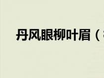丹風(fēng)眼柳葉眉（柳葉眼是丹鳳眼的區(qū)別）