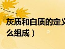灰質(zhì)和白質(zhì)的定義（灰質(zhì)由什么組成白質(zhì)由什么組成）