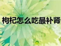 枸杞怎么吃最補腎最好（枸杞怎么吃最補腎）