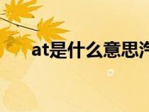 at是什么意思汽車(chē)（nt和at是什么車(chē)）