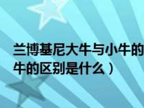 蘭博基尼大牛與小牛的區(qū)別是什么意思(蘭博基尼大牛與小牛的區(qū)別是什么) 蘭博基尼大牛與小牛的區(qū)別是什么意思(蘭博基尼大牛與小牛的區(qū)別是什么)
