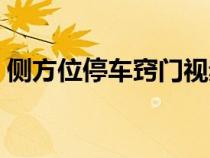 側(cè)方位停車竅門視頻教程（側(cè)方位停車竅門）