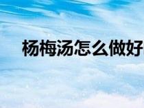 楊梅湯怎么做好喝（楊梅湯的正確方法）
