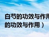 白芍的功效與作用的功能與主治決明子（白芍的功效與作用）