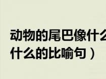 動物的尾巴像什么比喻作用（小動物的尾巴像什么的比喻句）
