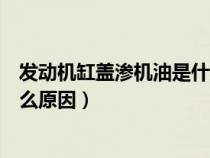 發(fā)動機缸蓋滲機油是什么原因（汽車發(fā)動機上缸蓋滲油是什么原因）