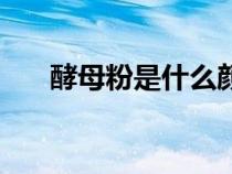 酵母粉是什么顏色的（酵母粉是什么）